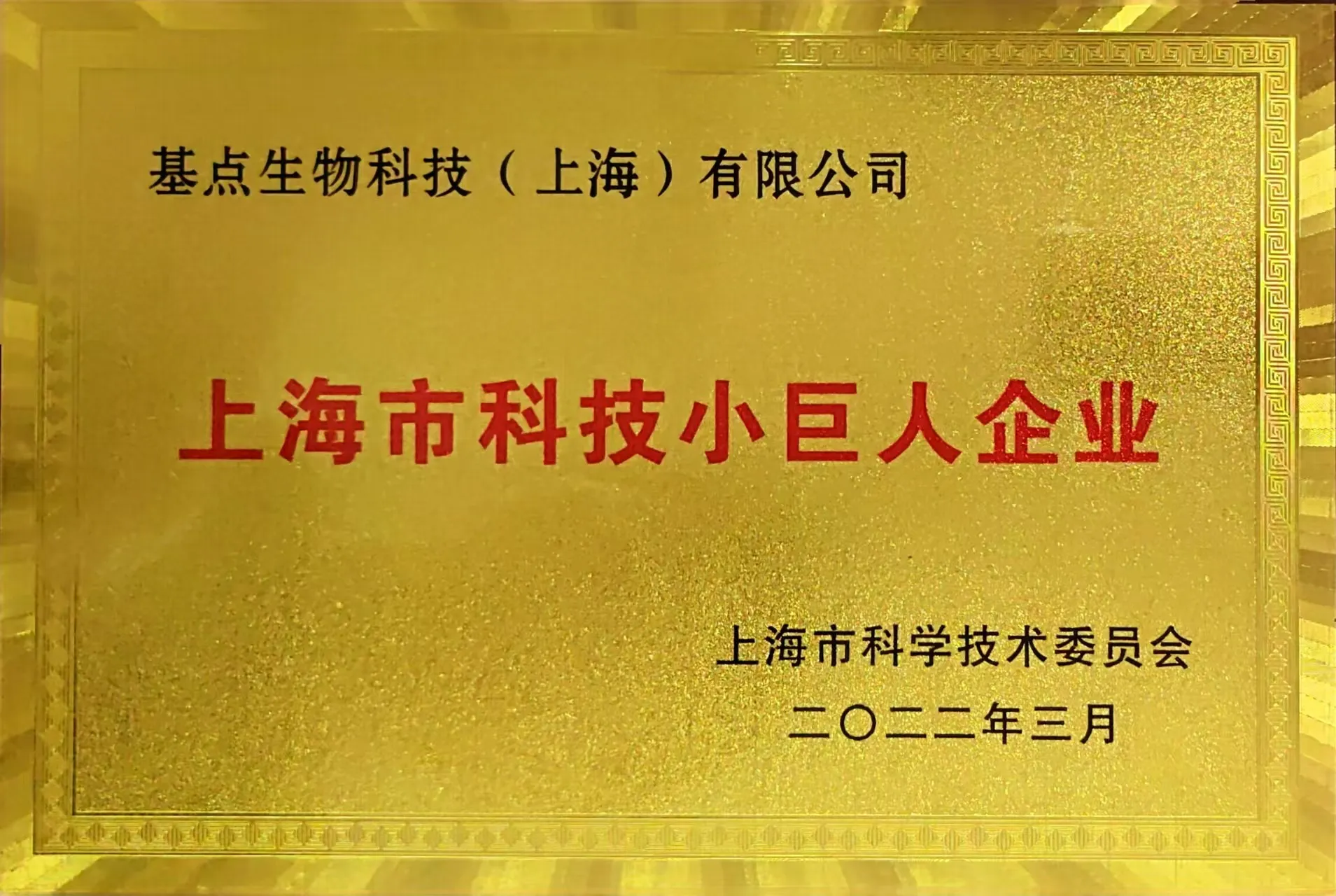 02【证书】上海市小巨人